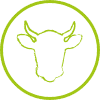 Tierwohl Kuh Icon grün