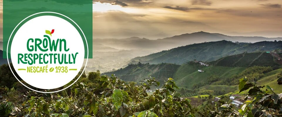 Grown Respectfully - Landschaft