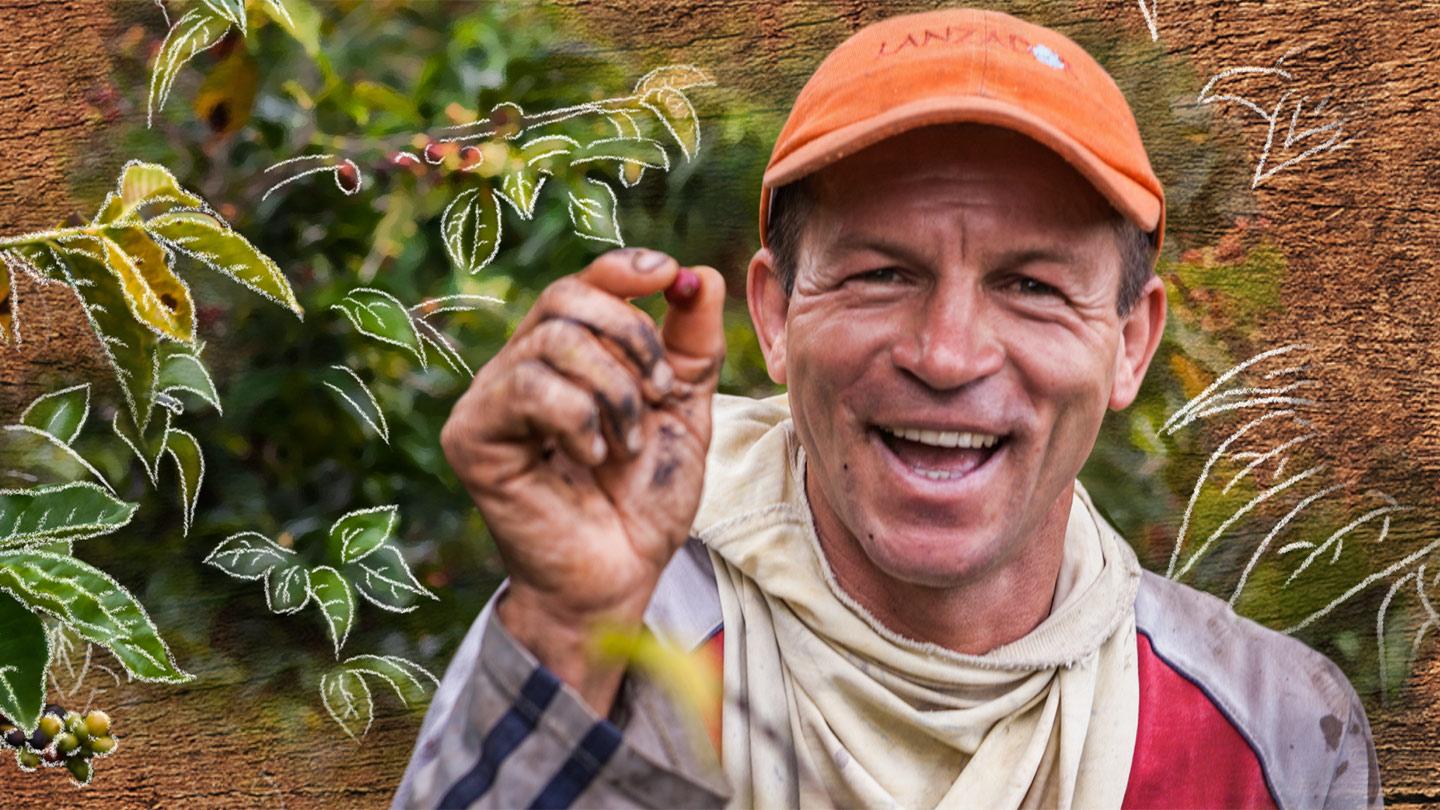 Plantage Kaffee Bohnen