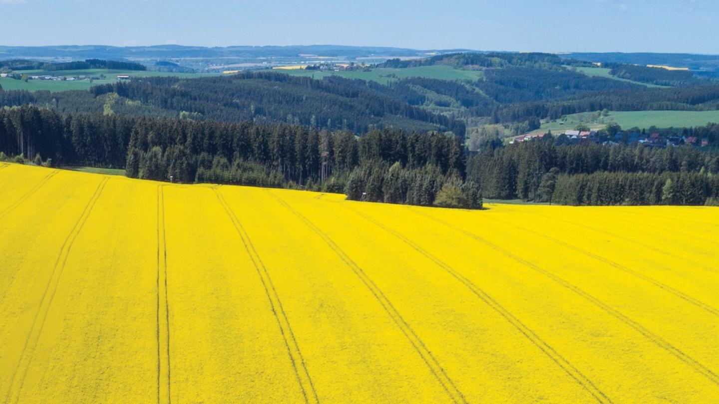 Feld Himmel Klimawandel