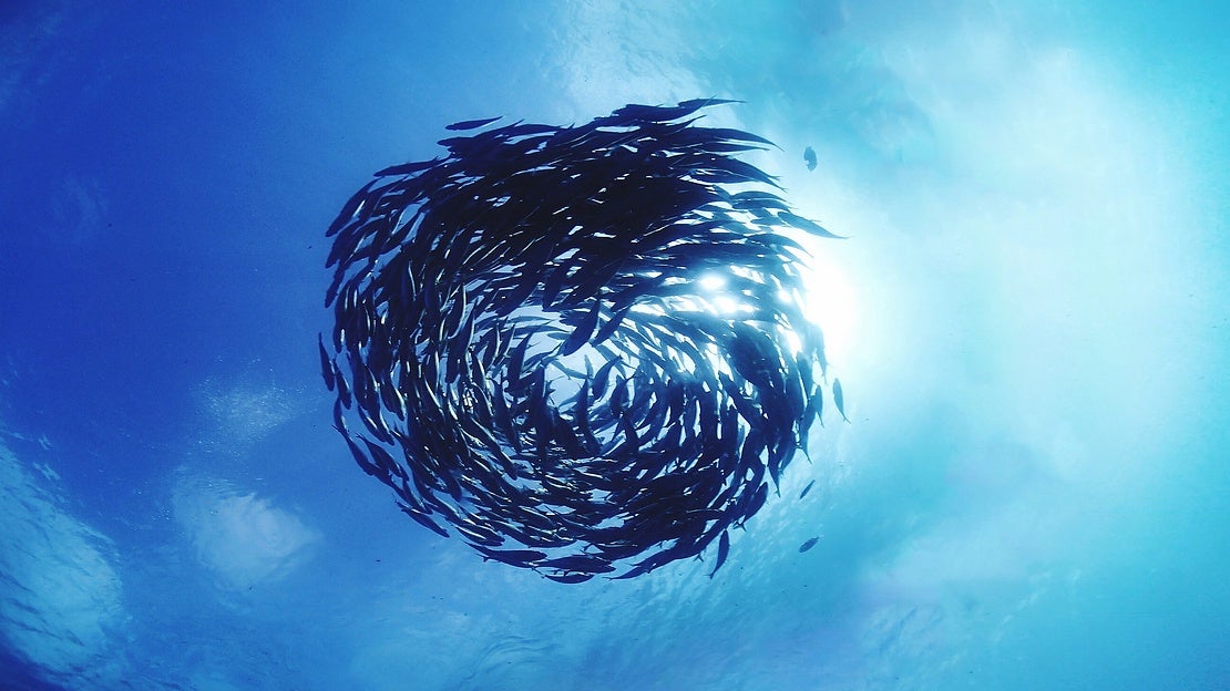 Packaging Circular - Planet Pro