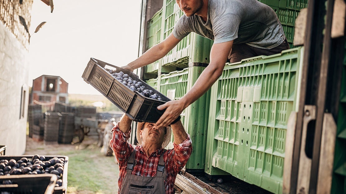 Packaging Dock - Planet Pro