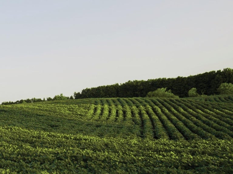 Feld Nachhaltigkeit