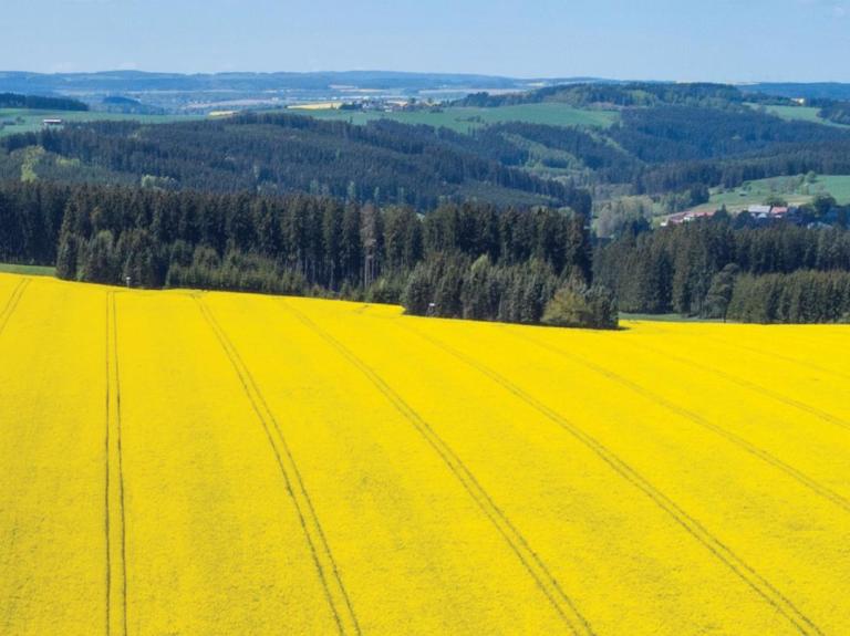 Feld Himmel Klimawandel