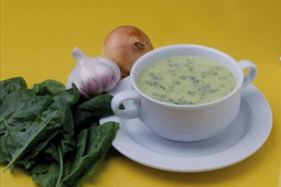 Frische Bärlauchcremesuppe