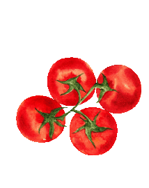 tomatoes
