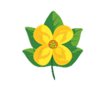 Thomy Blume